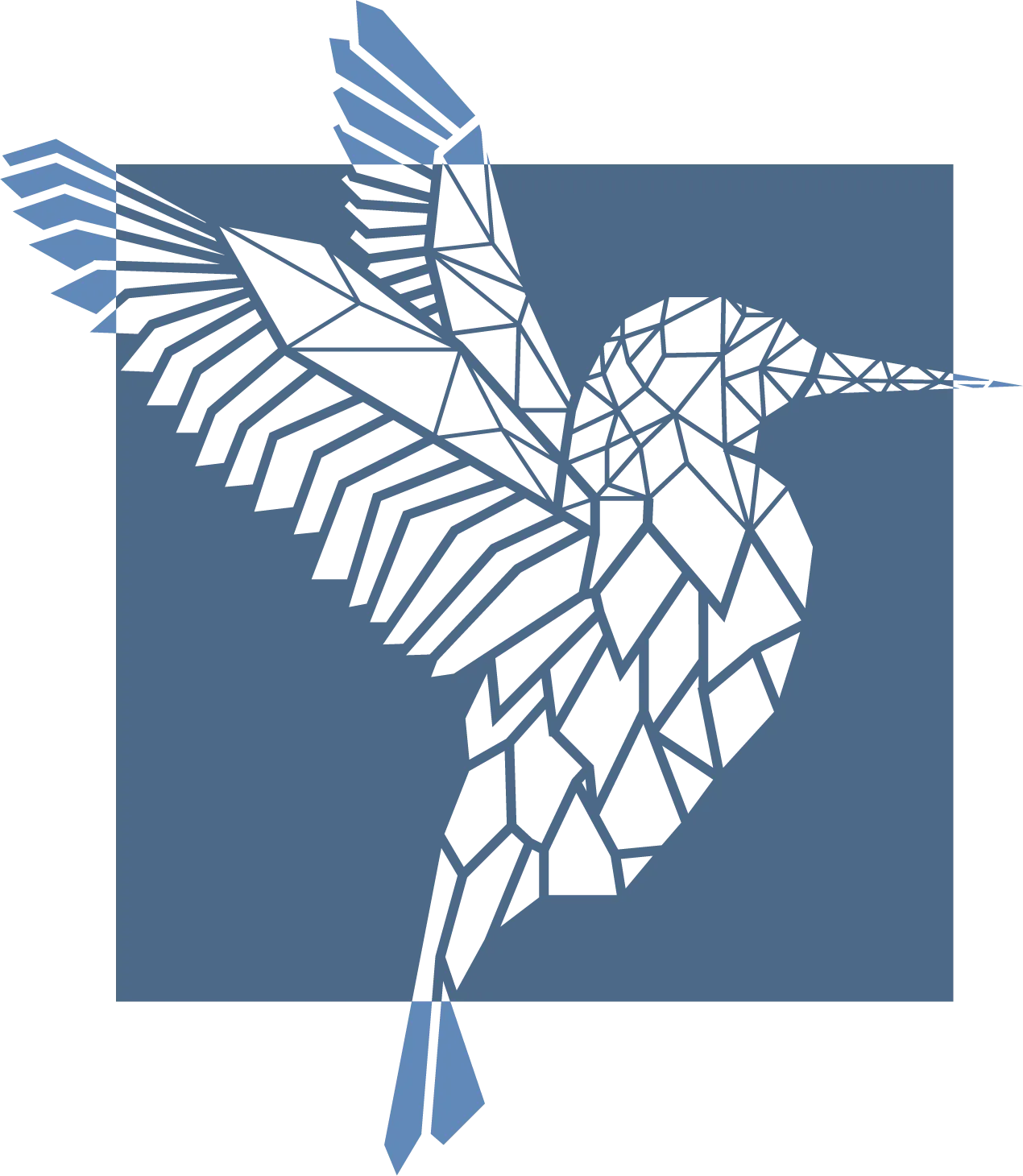Por qué un colibrí