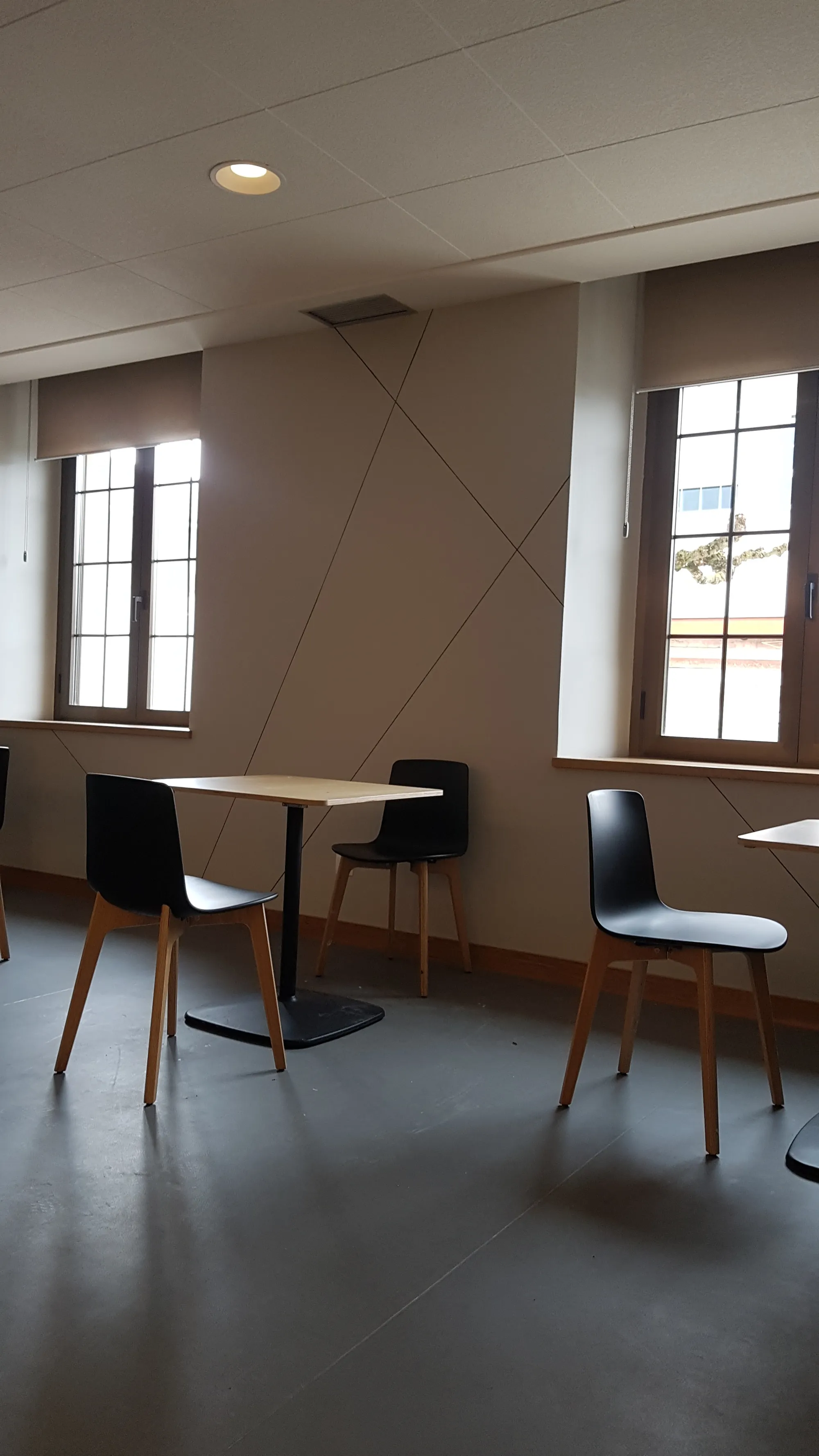 Hostal Ibaisek – Bar — imagen 3